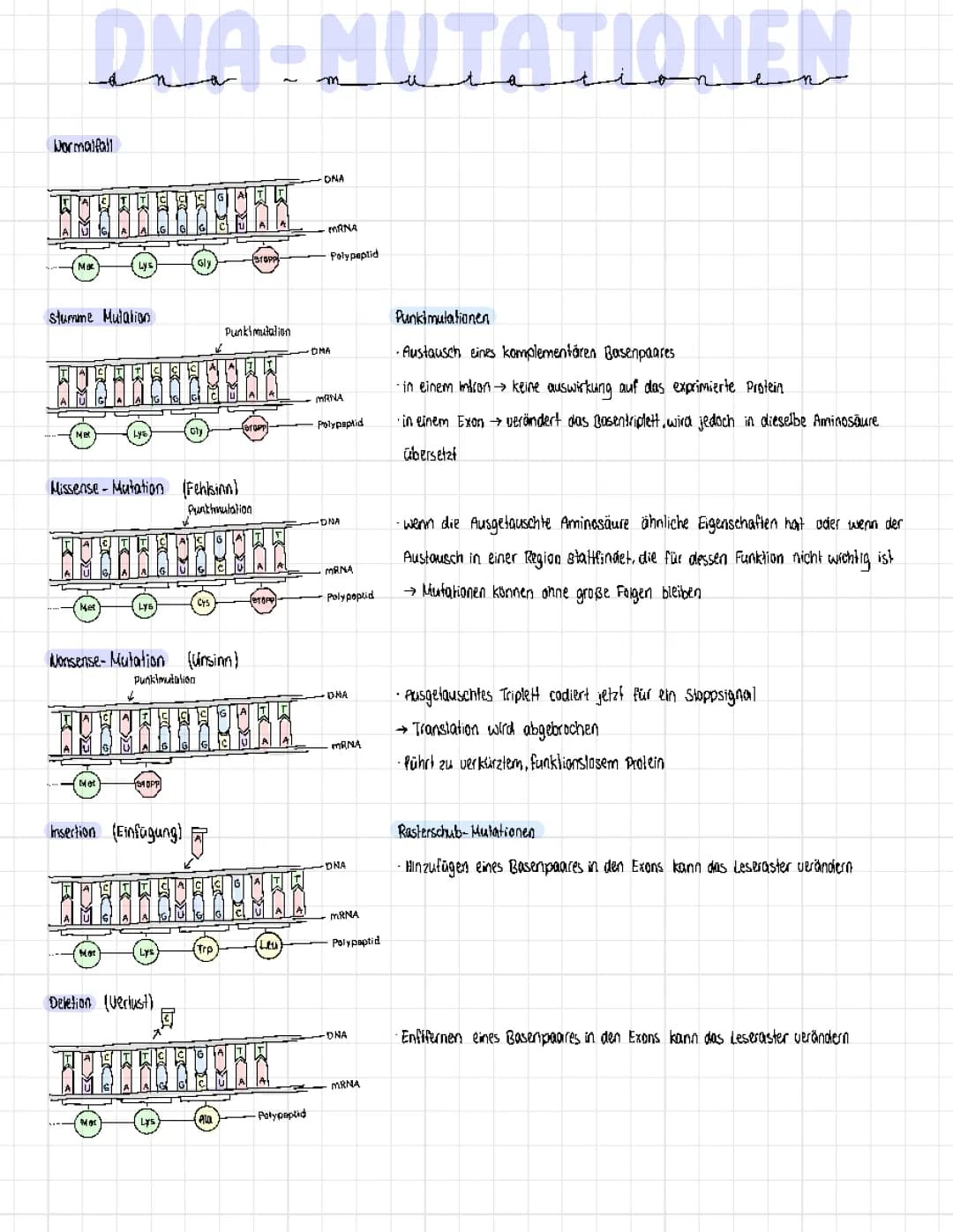 DNA- Mutationen