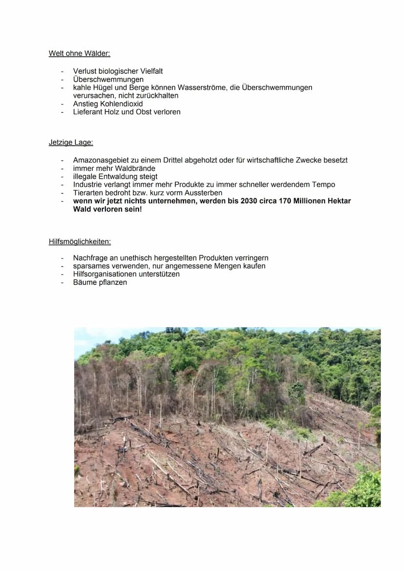 1. Grundlagen
Definition:
Ökosystem: Beziehungsgefüge zwischen Biotop und Biozönose
Wald: Biotop →→→ Lebensraum für Lebewesen
Wichtigkeit:
2