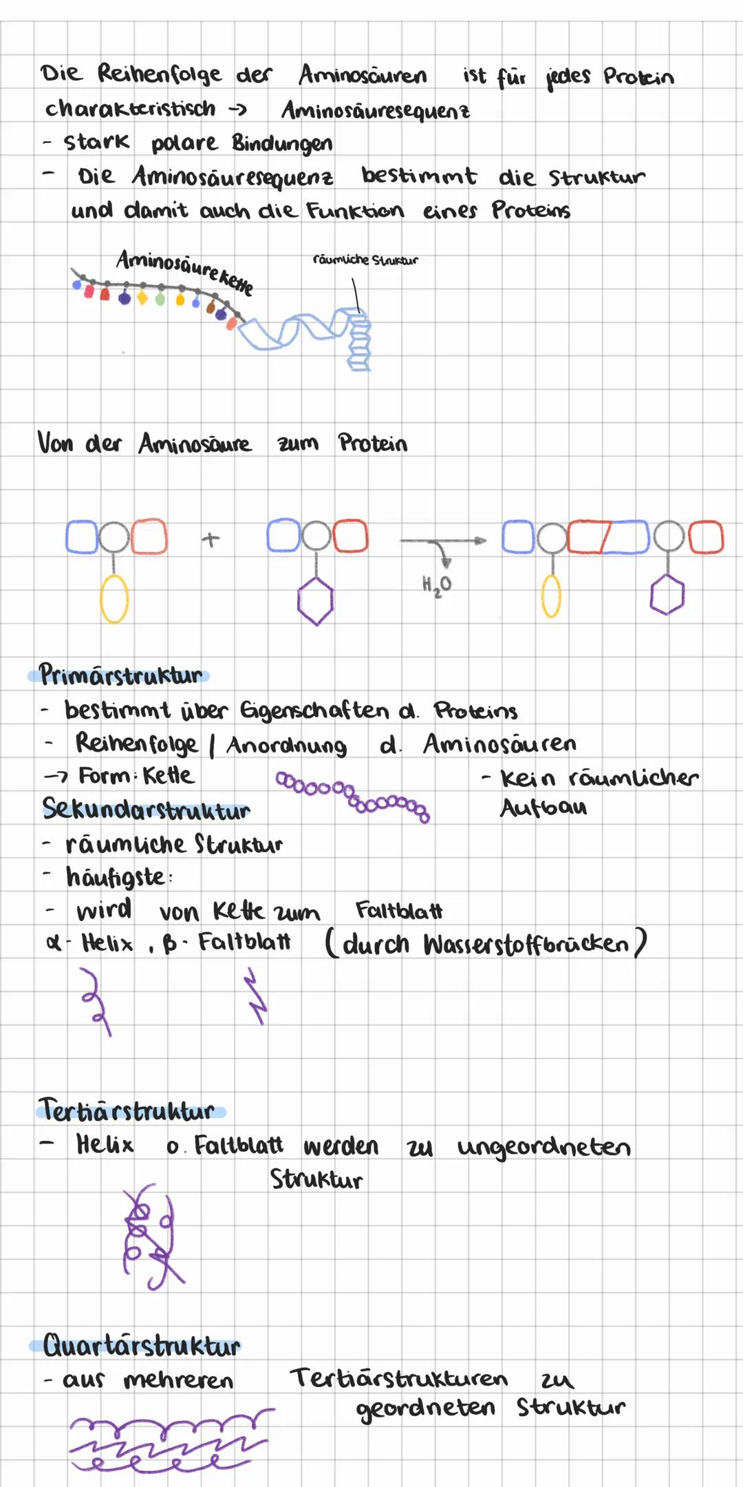 Makronährstoffgruppen
Kohlenhydrate:
Kohlenhydrate bestehen aus meist ring förmigen Molekülen,
mit funktionellen Gruppen.
Allgemeine Formel: