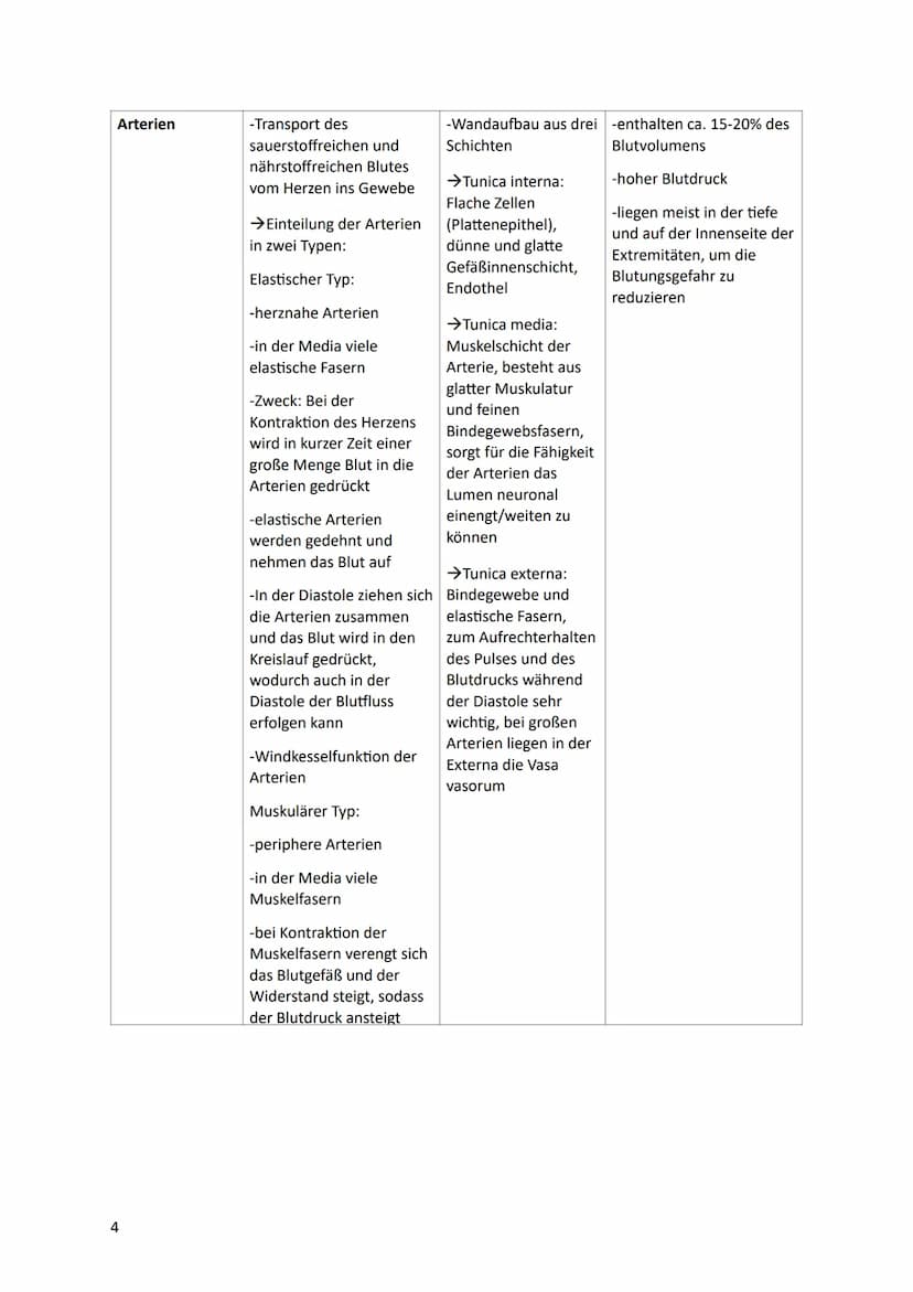 Lernzettel
HERZ-KREISLAUFSYSTEM
Anatomie des Herzes:
V. cava
superior
●
Pulmonal-
klappe
re. Vorhof-
Tricusbidal-
klappe
V. cava
inferior
re