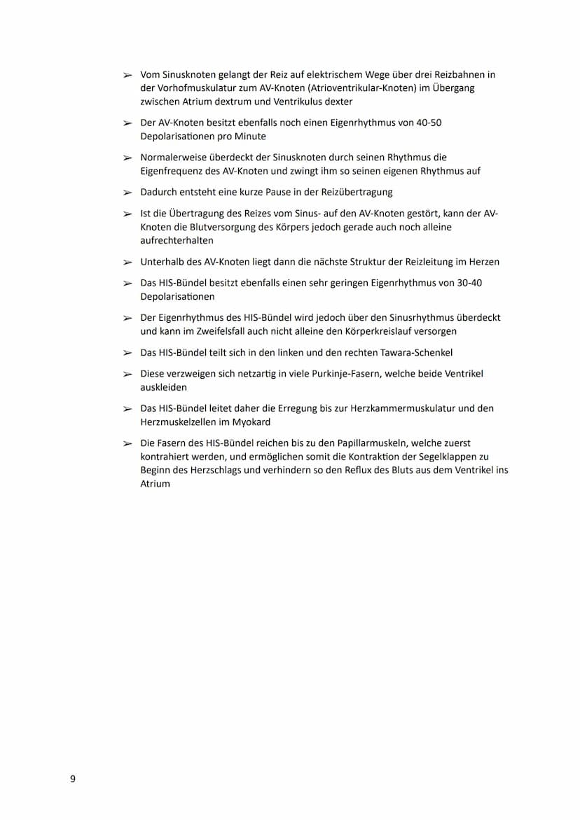 Lernzettel
HERZ-KREISLAUFSYSTEM
Anatomie des Herzes:
V. cava
superior
●
Pulmonal-
klappe
re. Vorhof-
Tricusbidal-
klappe
V. cava
inferior
re