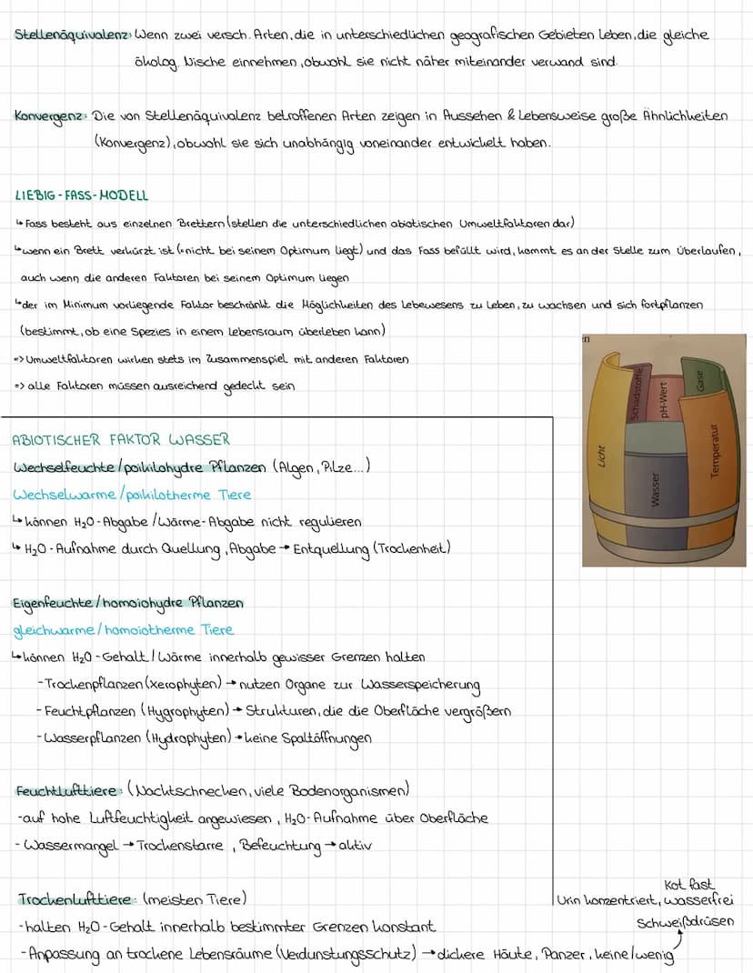 Toleranz gegenüber Umweltfaktoren
AUFBAU EINES ÖKOSYSTEMS
Biotop (einer Art): räumlich abgrenzbare Lebensbereiche einer Art, der durch abiot