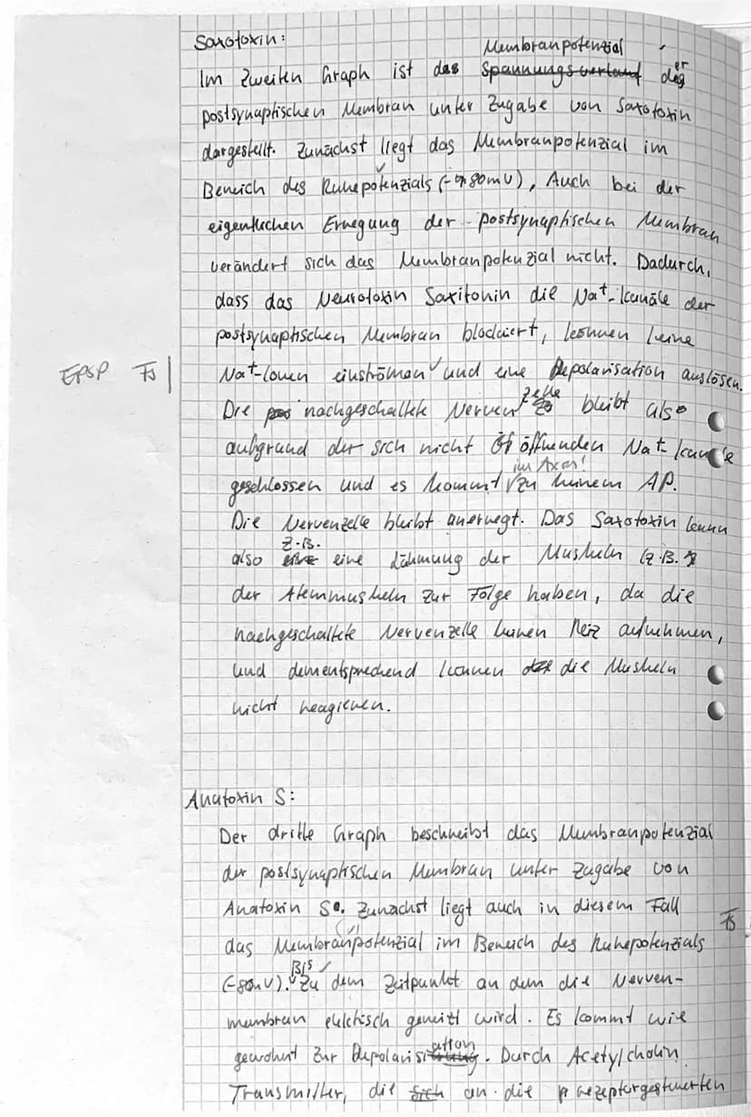 J/21²2
/11.2
Name: Mane-Sophie Pfeffer
1_ Dendn't
2 Zellikern
3 Zellicorper
Klausur no 1
M
VP: 23
+ Bitte beachten + Bitte beachten + Bitte 
