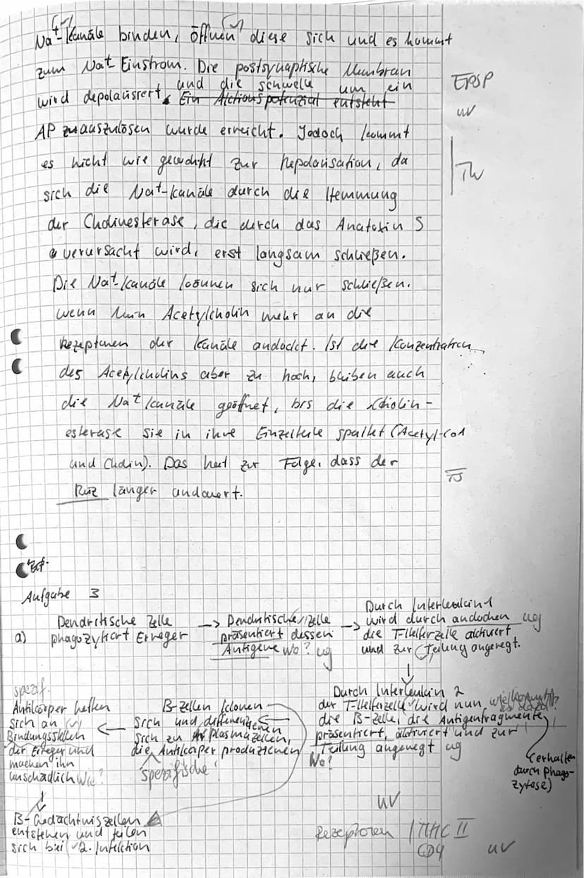 J/21²2
/11.2
Name: Mane-Sophie Pfeffer
1_ Dendn't
2 Zellikern
3 Zellicorper
Klausur no 1
M
VP: 23
+ Bitte beachten + Bitte beachten + Bitte 