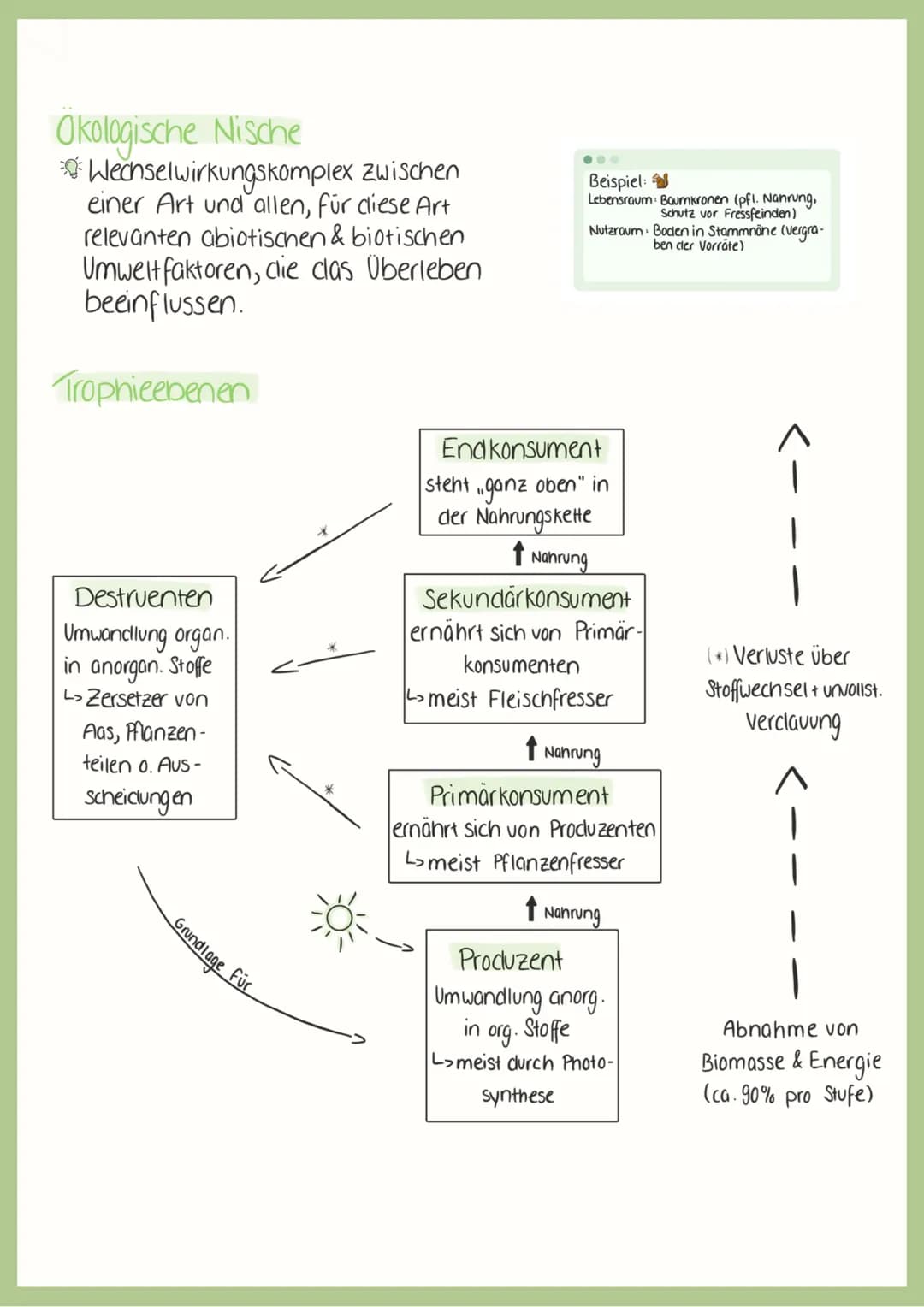 BIOLOGIC
ABITUR
2023 علهم لمام
Abiotische-& Biotische Faktoren
Abiotische Faktoren:
->
> physikalische & chemische Faktoren der unbelebten U