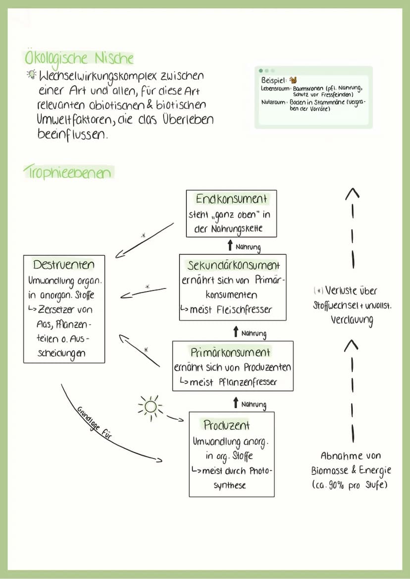 BIOLOGIC
ABITUR
2023 علهم لمام
Abiotische-& Biotische Faktoren
Abiotische Faktoren:
->
> physikalische & chemische Faktoren der unbelebten U