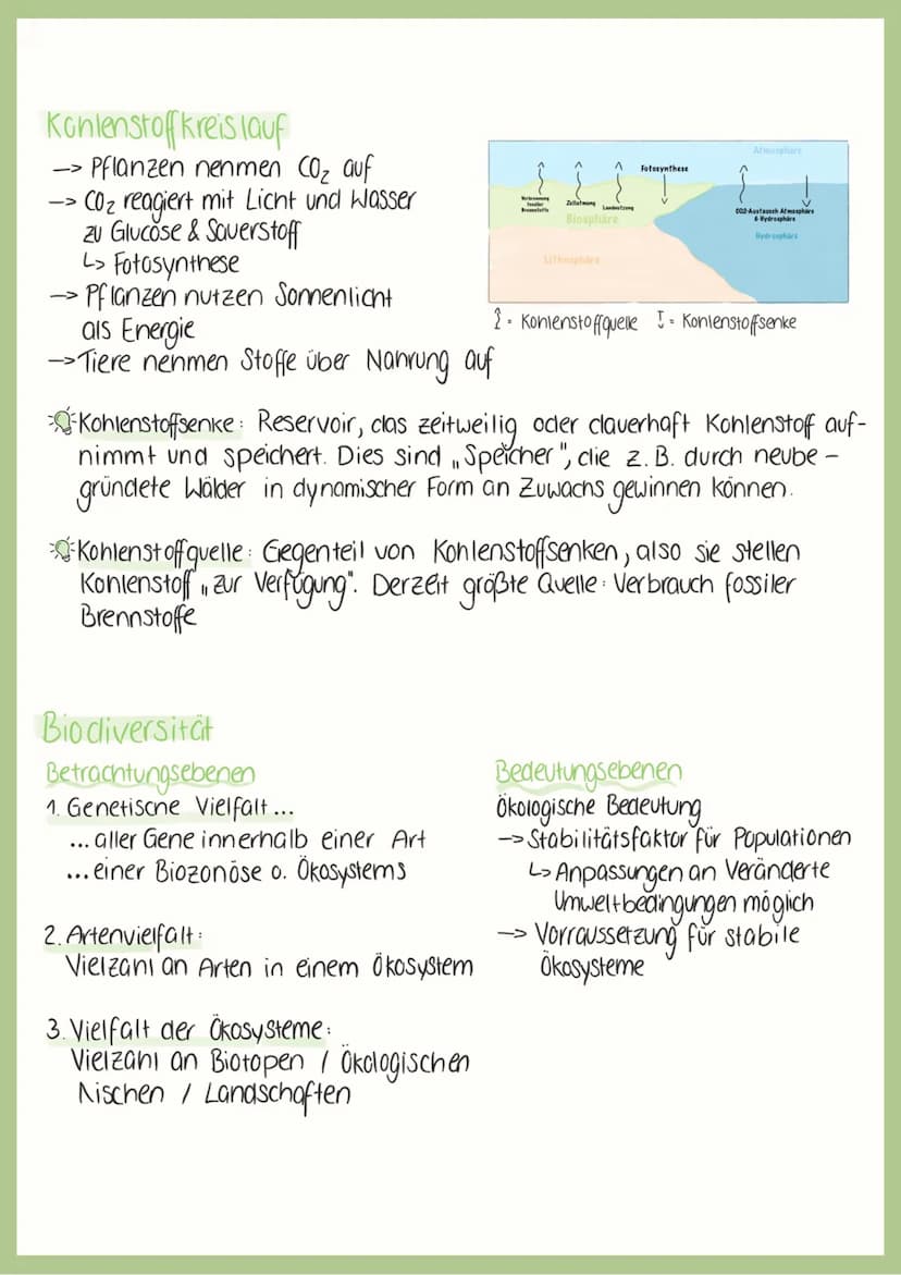 BIOLOGIC
ABITUR
2023 علهم لمام
Abiotische-& Biotische Faktoren
Abiotische Faktoren:
->
> physikalische & chemische Faktoren der unbelebten U