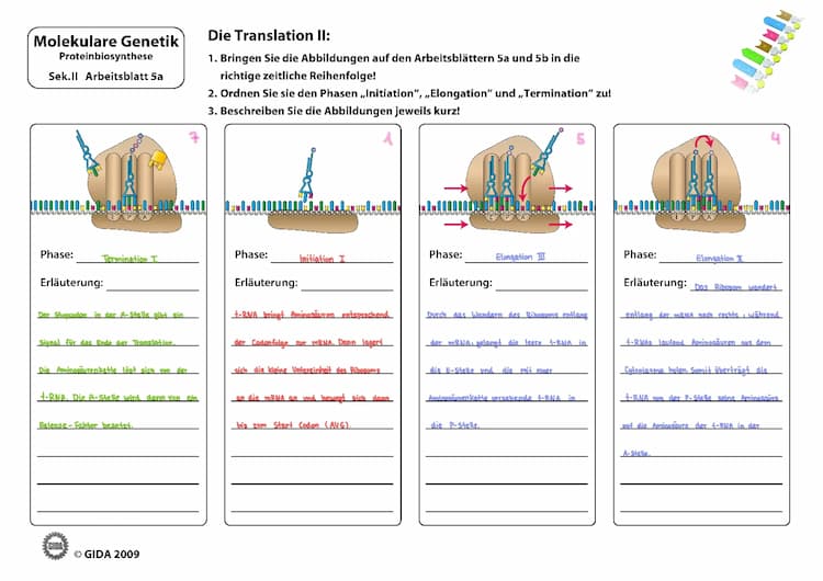 Know Translation  thumbnail