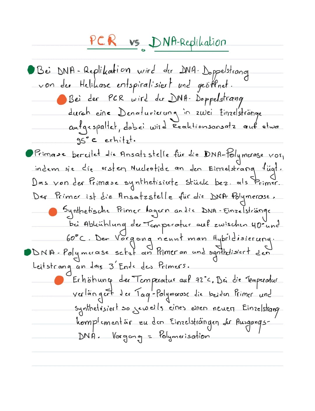 PCR vs DNA-Replikation
Bei DNA-Replikation wird der DNA. Doppelstrang
von der Helikase entspiralisiert und geöffnet.
Bei der PCR wird der DN
