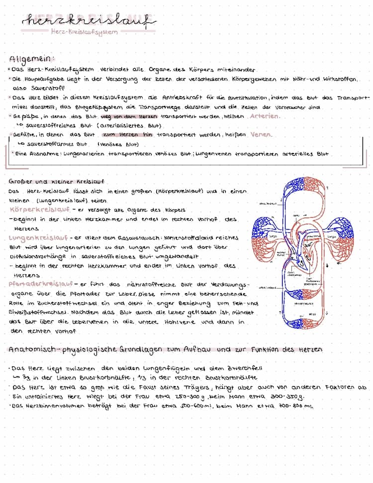 Know Herzkreislaufsystem thumbnail