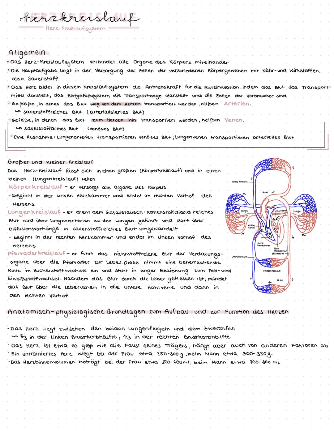 herzkreislauf
Herz-Kreislaufsystem
Allgemein
• Das Herz-Kreislaufsystem verbindet alle Organe des Körpers miteinander
• Die Hauptaufgabe lie