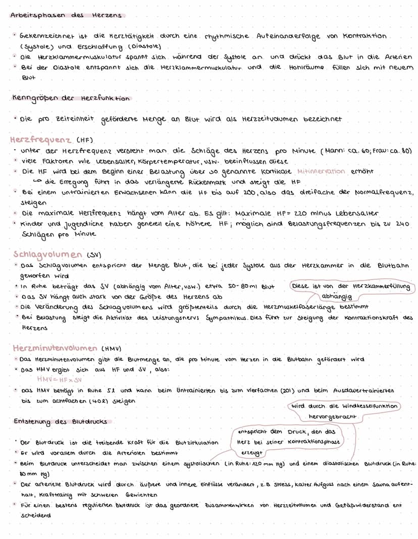 herzkreislauf
Herz-Kreislaufsystem
Allgemein
• Das Herz-Kreislaufsystem verbindet alle Organe des Körpers miteinander
• Die Hauptaufgabe lie