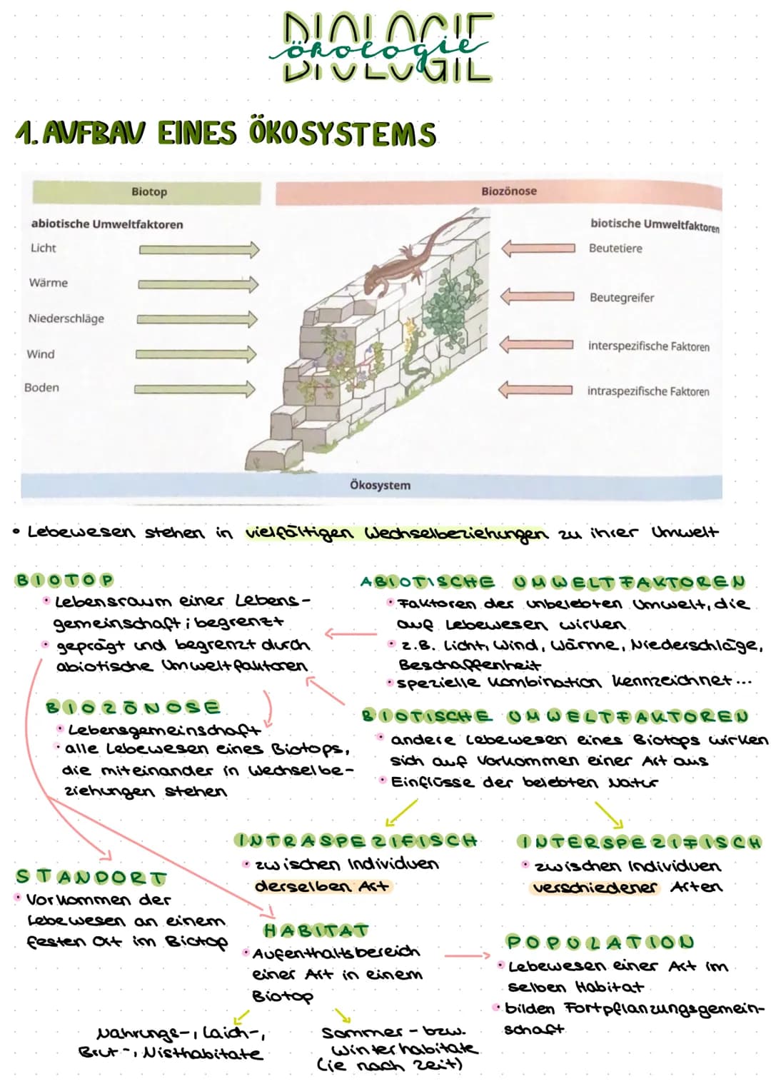 1. AVFBAV EINES ÖKOSYSTEMS
abiotische Umweltfaktoren
Licht
Wärme
Niederschläge
Wind
Boden
Biotop
BIOTOP
DIOLOCIE
DIVLUGIL
ökolog
•Lebensraum