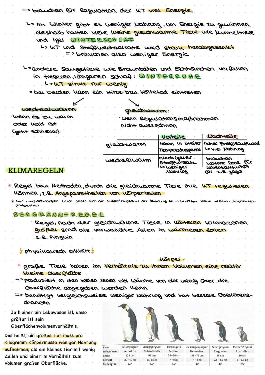 1. AVFBAV EINES ÖKOSYSTEMS
abiotische Umweltfaktoren
Licht
Wärme
Niederschläge
Wind
Boden
Biotop
BIOTOP
DIOLOCIE
DIVLUGIL
ökolog
•Lebensraum