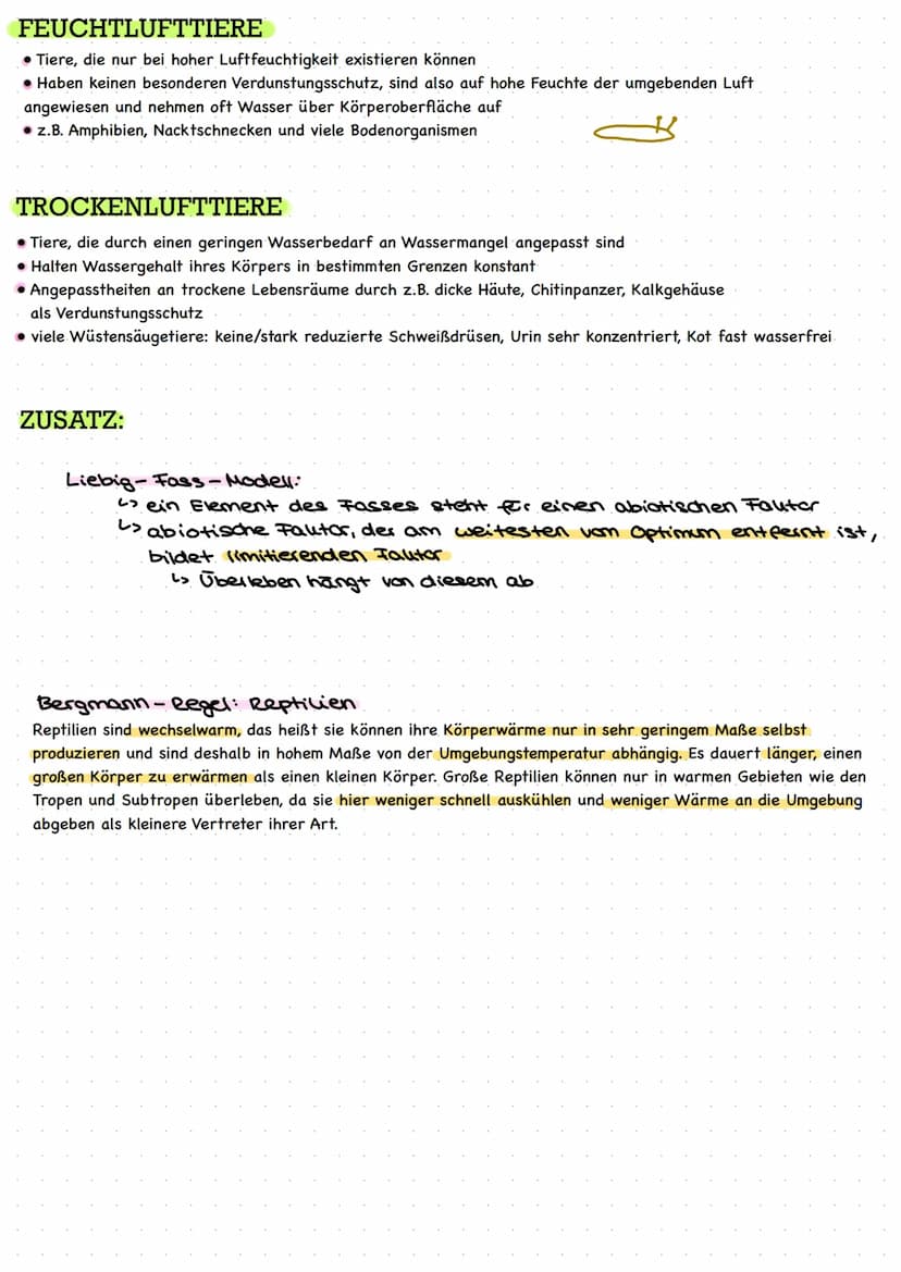 1. AVFBAV EINES ÖKOSYSTEMS
abiotische Umweltfaktoren
Licht
Wärme
Niederschläge
Wind
Boden
Biotop
BIOTOP
DIOLOCIE
DIVLUGIL
ökolog
•Lebensraum