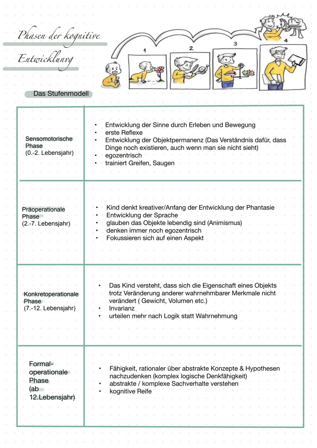 Grundannahmen:
Das (Klein-) Kind konstruiert sein Weltverständnis
in der selbsttätigen Auseinandersetzung mit der
Umwelt
Kognitive Entwicklu