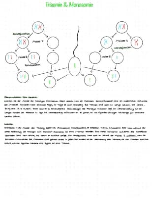Know Lernzettel Trisomie und Monosomie thumbnail