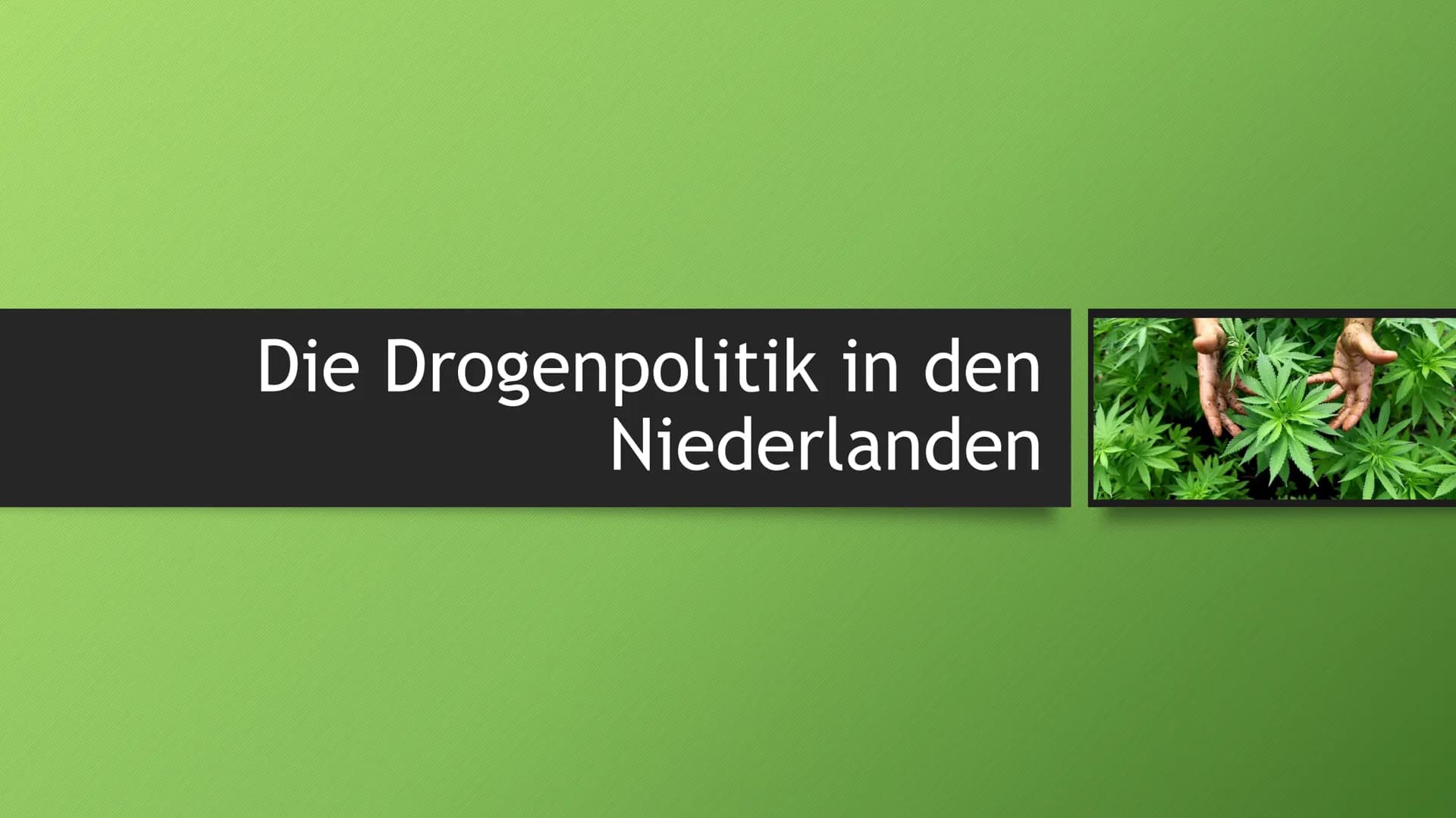 Die Drogenpolitik in den
Niederlanden Gesetzliche Regelung
Duldungspolitik
Max. 5g pro Person
Max. Vorrat 500g
Keine Belästigung darstellen
