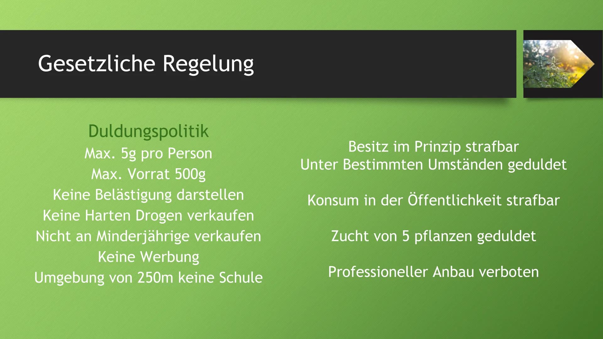 Die Drogenpolitik in den
Niederlanden Gesetzliche Regelung
Duldungspolitik
Max. 5g pro Person
Max. Vorrat 500g
Keine Belästigung darstellen
