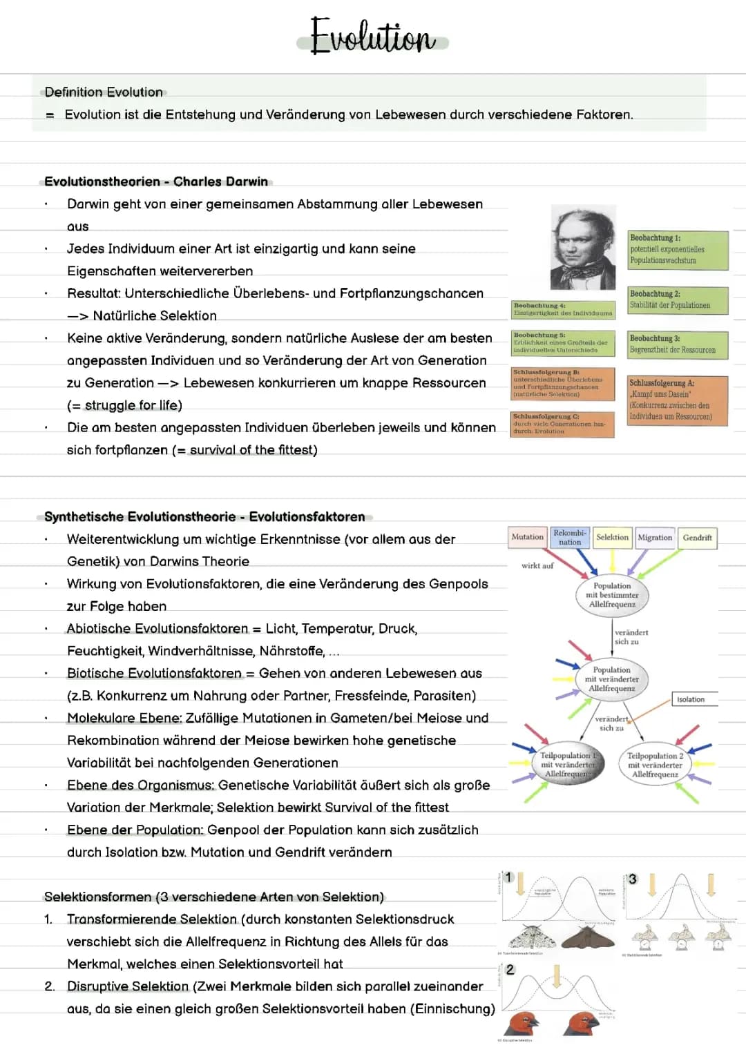Zusammenfassung Biologie GK Abitur 2023 (Berufskolleg Erziehung & Soziales)
