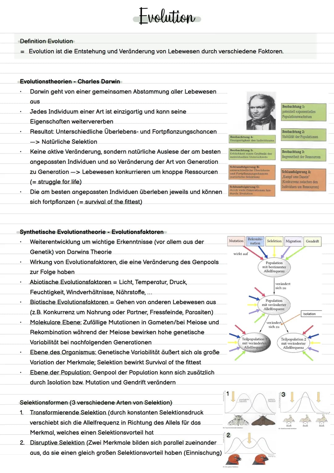 Definition Evolution
= Evolution ist die Entstehung und Veränderung von Lebewesen durch verschiedene Faktoren.
Evolution
Evolutionstheorien 