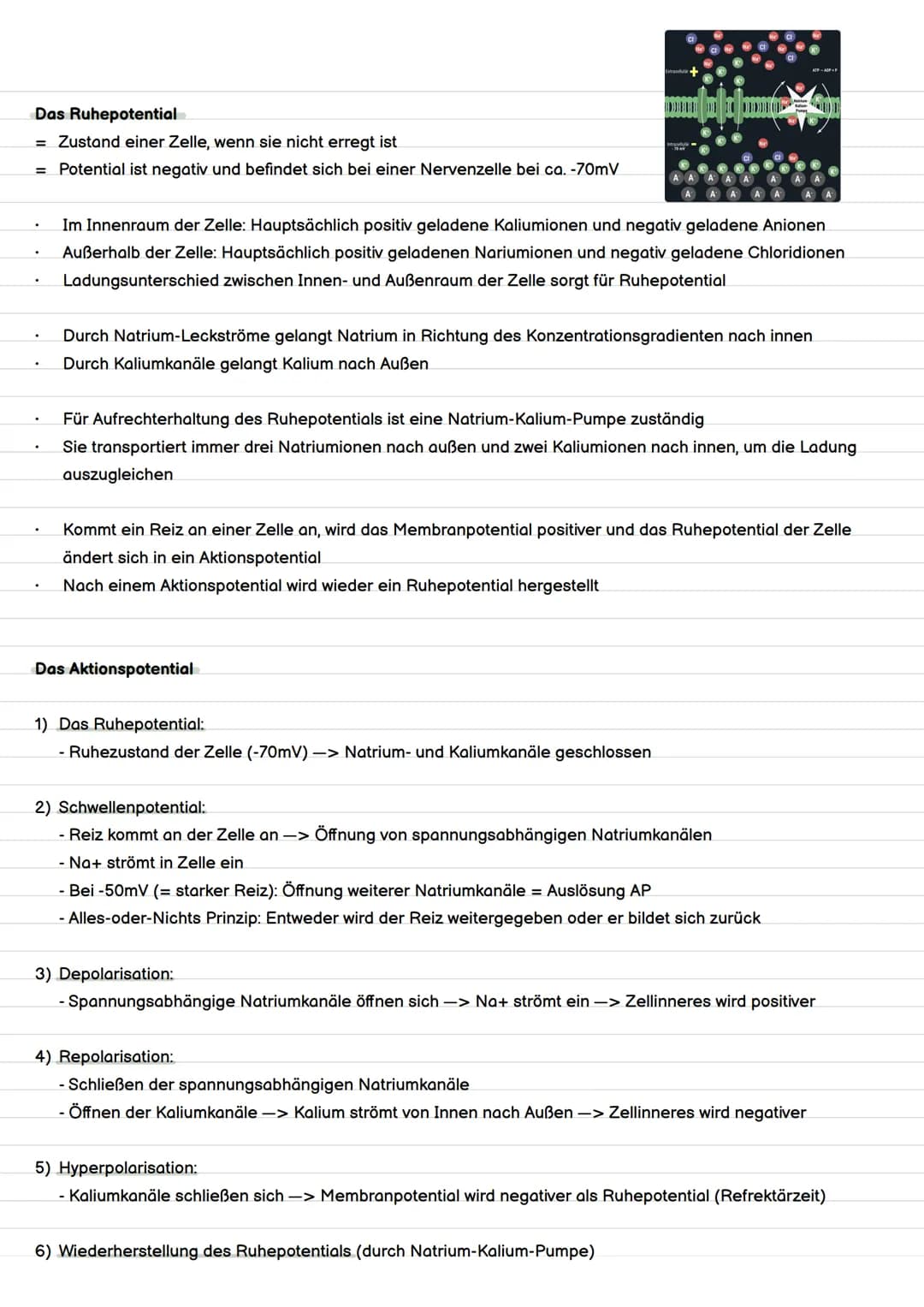 Definition Evolution
= Evolution ist die Entstehung und Veränderung von Lebewesen durch verschiedene Faktoren.
Evolution
Evolutionstheorien 