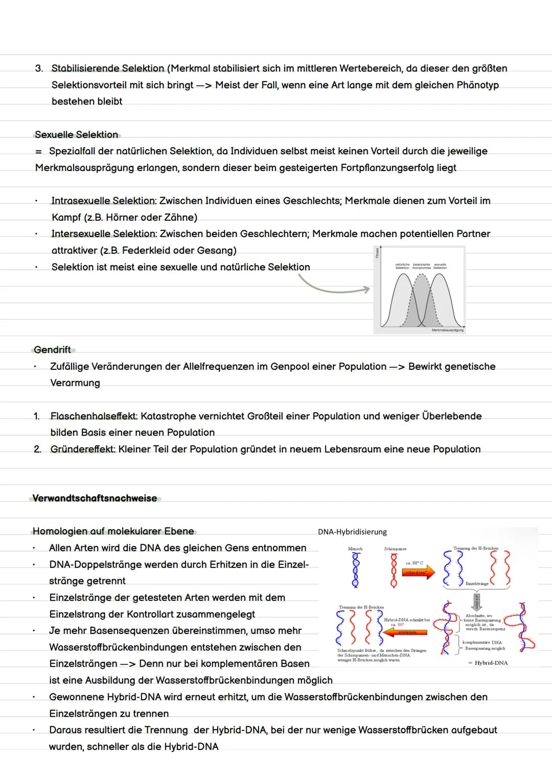 Definition Evolution
= Evolution ist die Entstehung und Veränderung von Lebewesen durch verschiedene Faktoren.
Evolution
Evolutionstheorien 