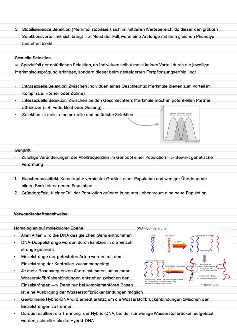 Definition Evolution
= Evolution ist die Entstehung und Veränderung von Lebewesen durch verschiedene Faktoren.
Evolution
Evolutionstheorien 