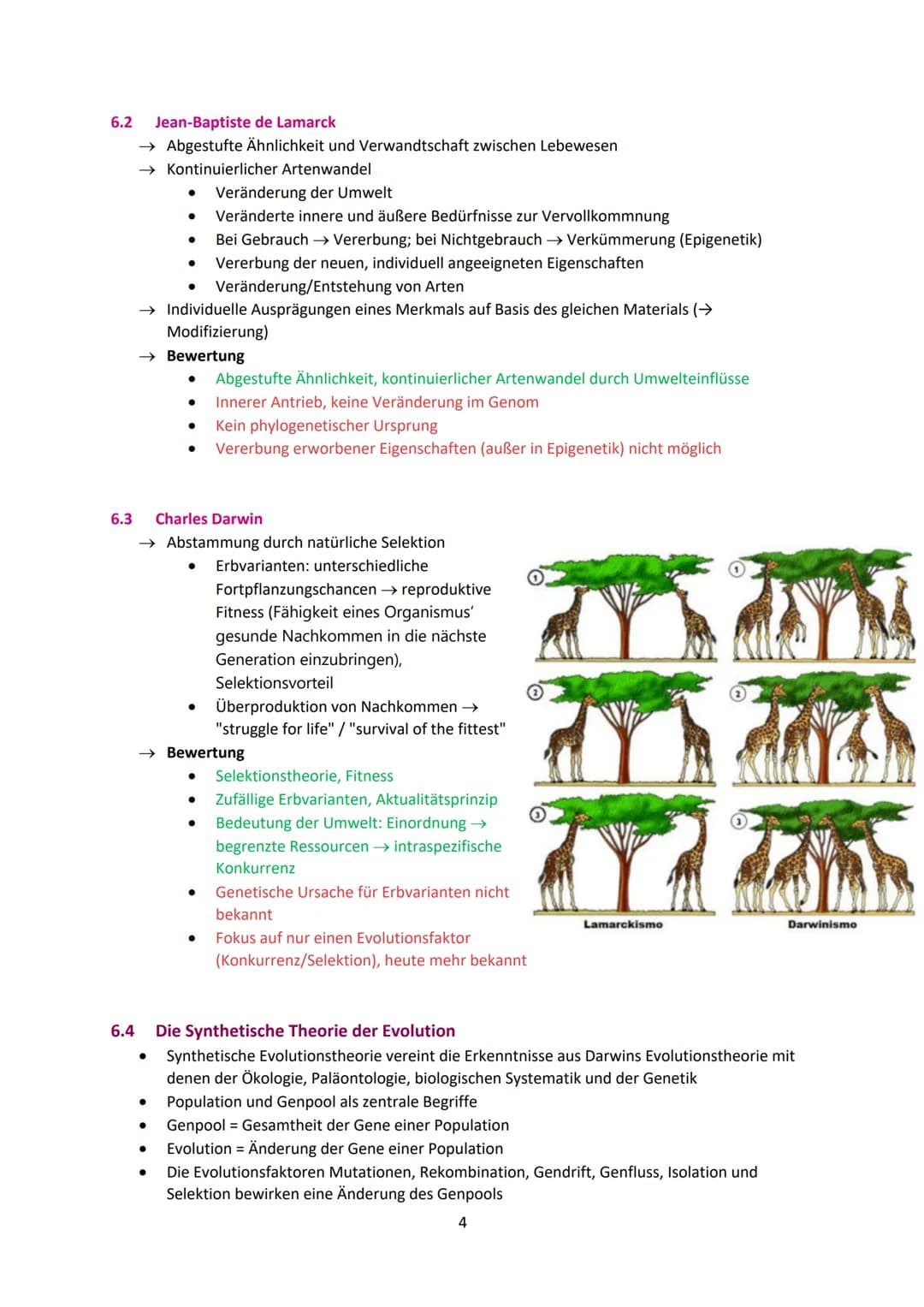 Biologie Evolution Zusammenfassung PDF: Vom Wasser zum Land und Fossilien verstehen