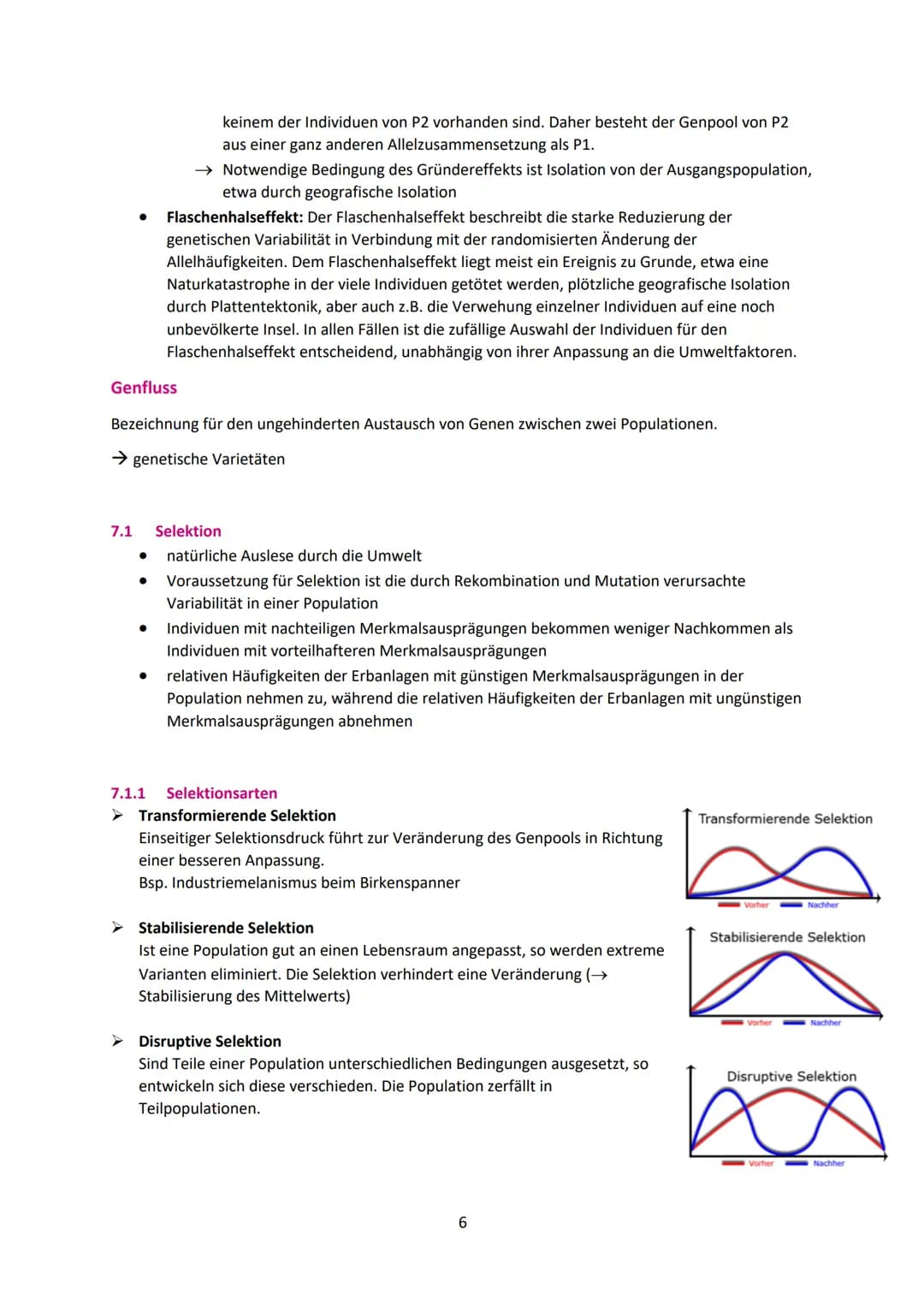 Biologie Evolution Zusammenfassung PDF: Vom Wasser zum Land und Fossilien verstehen