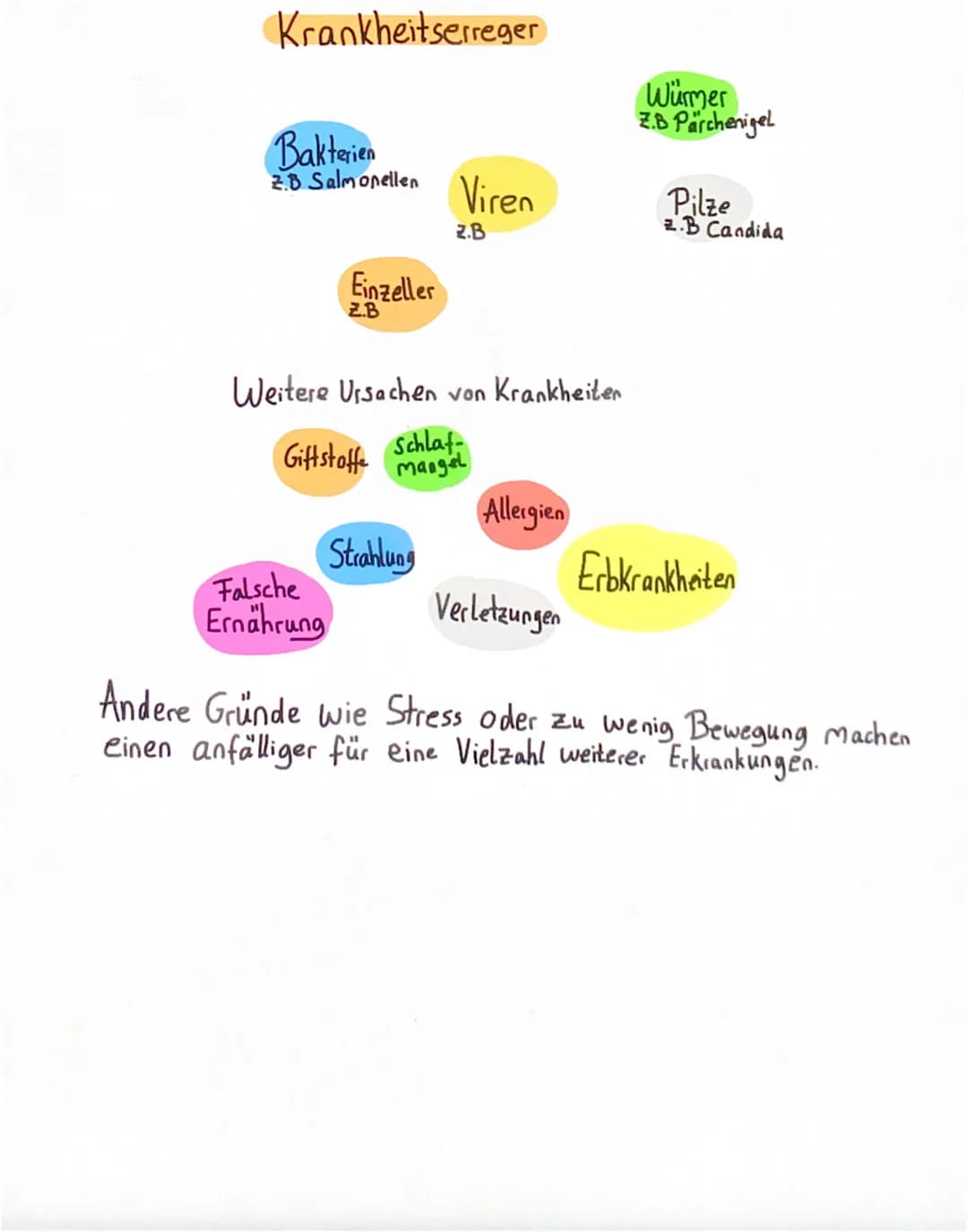 Krankheitserreger
Bakterien
2.B Salmonellen Viren
Einzeller
Falsche
Ernährung
Weitere Ursachen von Krankheiten
Giftstoffe
Schlaf
mangel
2.B
