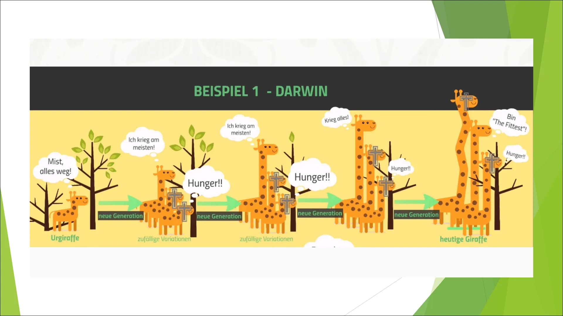 Lamarck vs Darwin: Evolutionstheorien im Vergleich Giraffen Tabellen