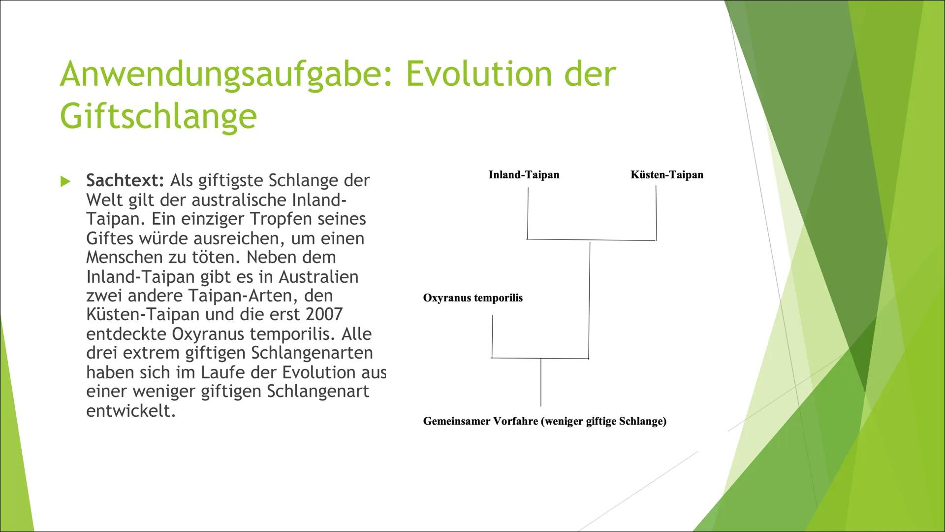 Die Evolution
Theorien nach Darwin und Lamarck Inhaltsverzeichnis
► Theorie der Artkonstanz
Definition: Art
Biographie von Lamarck & Darwin
