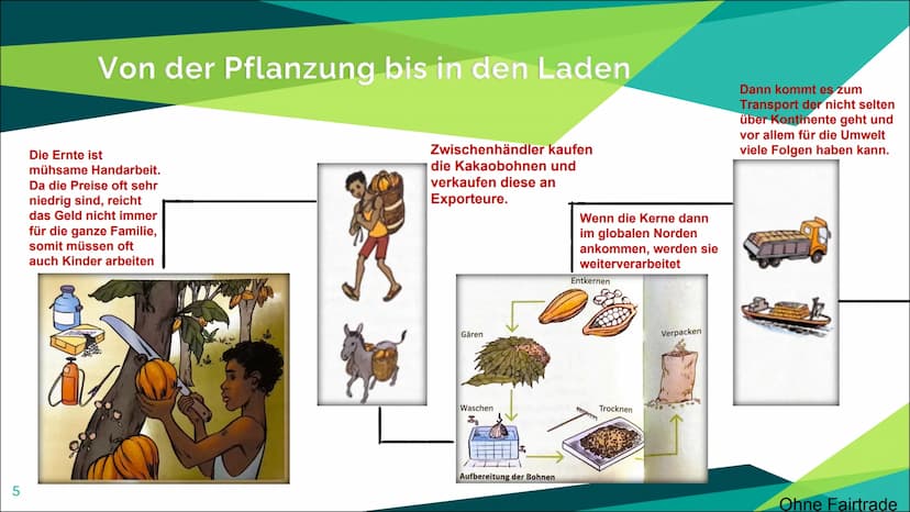 Fairtrade 2
Aufbau
Was ist Fairtrade?
Positive und negative Aspekte beim Fairtrade
Von der Pflanzung bis in den Laden (Beispiel Kakao)
Siege