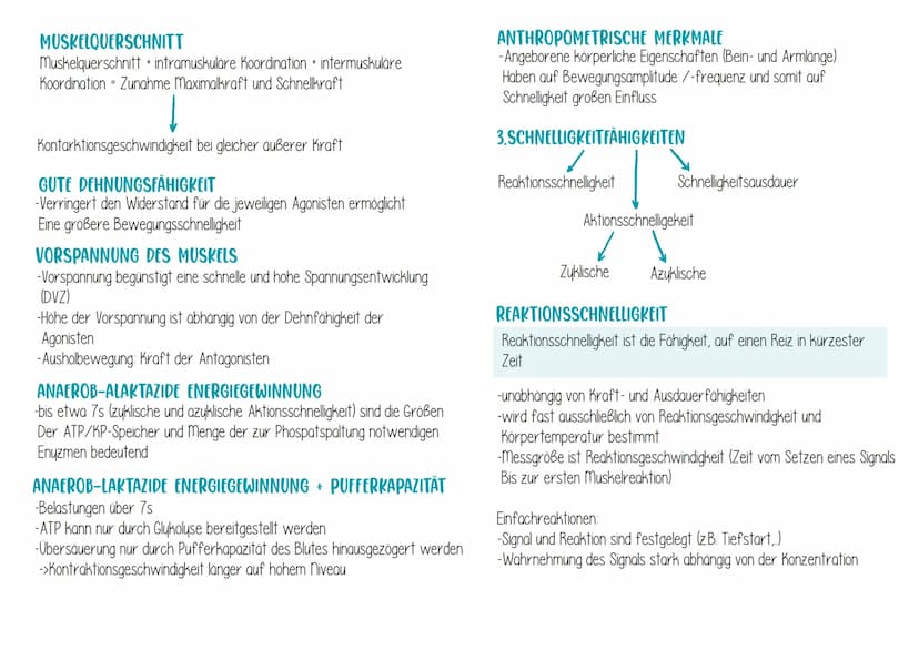 I.BEDEUTUNG DER SCHNELLIGKEIT IM SPORT
Schnelligkeit ist die Fähigkeit des nerv-Muskel-Systems, motorische
Aktionen in einem unter den gegeb