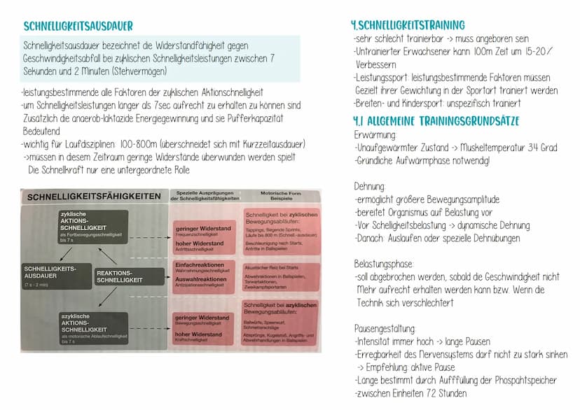 I.BEDEUTUNG DER SCHNELLIGKEIT IM SPORT
Schnelligkeit ist die Fähigkeit des nerv-Muskel-Systems, motorische
Aktionen in einem unter den gegeb