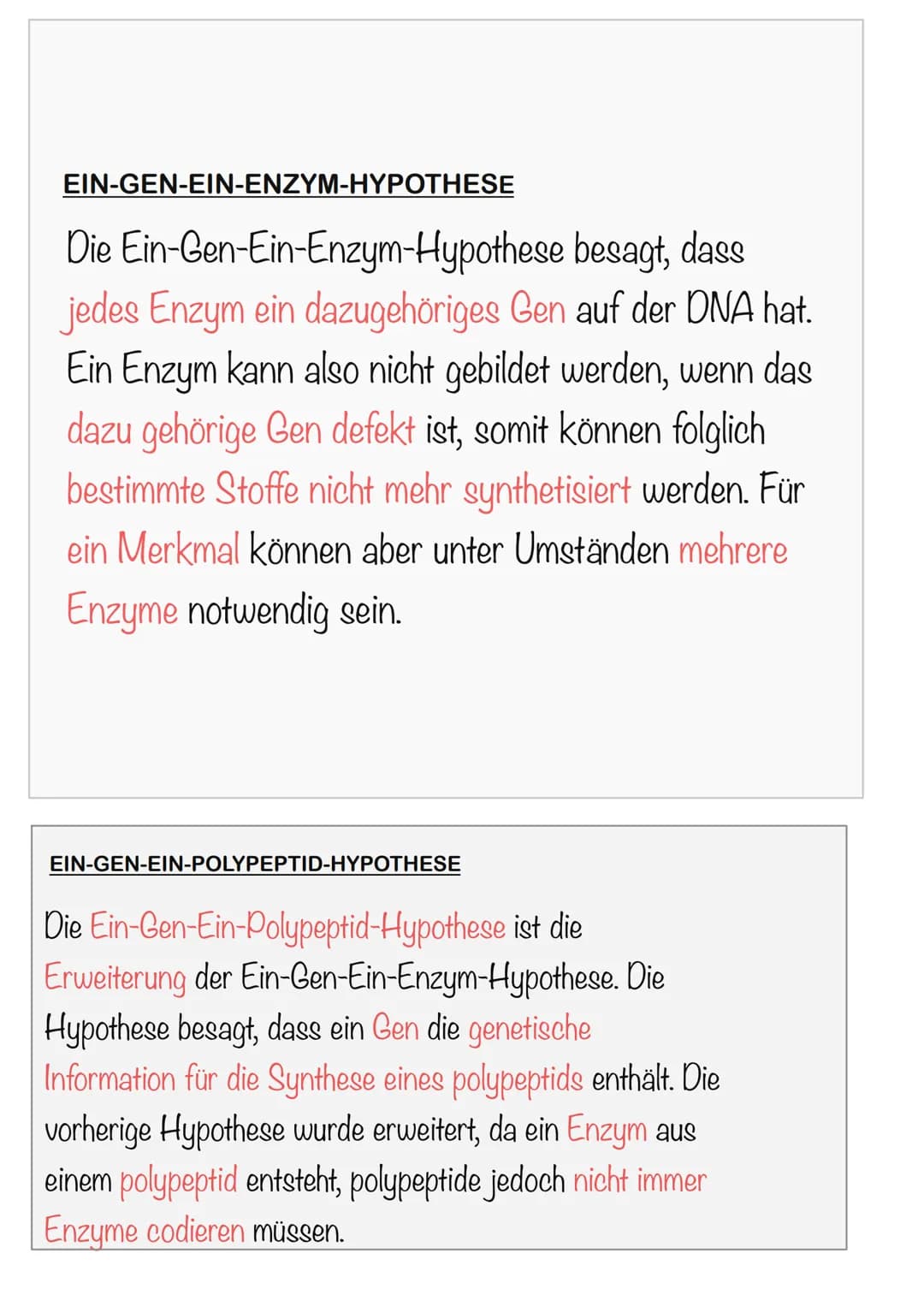 DIE FUNKTION VON GENEN
Ein - Gen - Ein-Emzym - Hypothese
Beadle & Tatum Experiment
WAS IST EIN GEN?
ein Enzym
→ Ein Gen Codiert/stellt her f