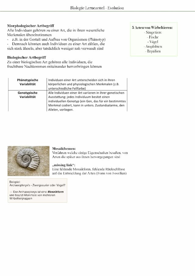 Know Biologie Lernzettel - Evolution  thumbnail