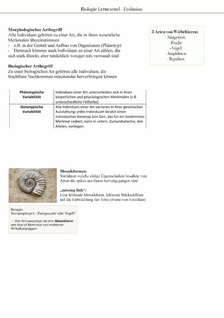 Know Biologie Lernzettel - Evolution  thumbnail