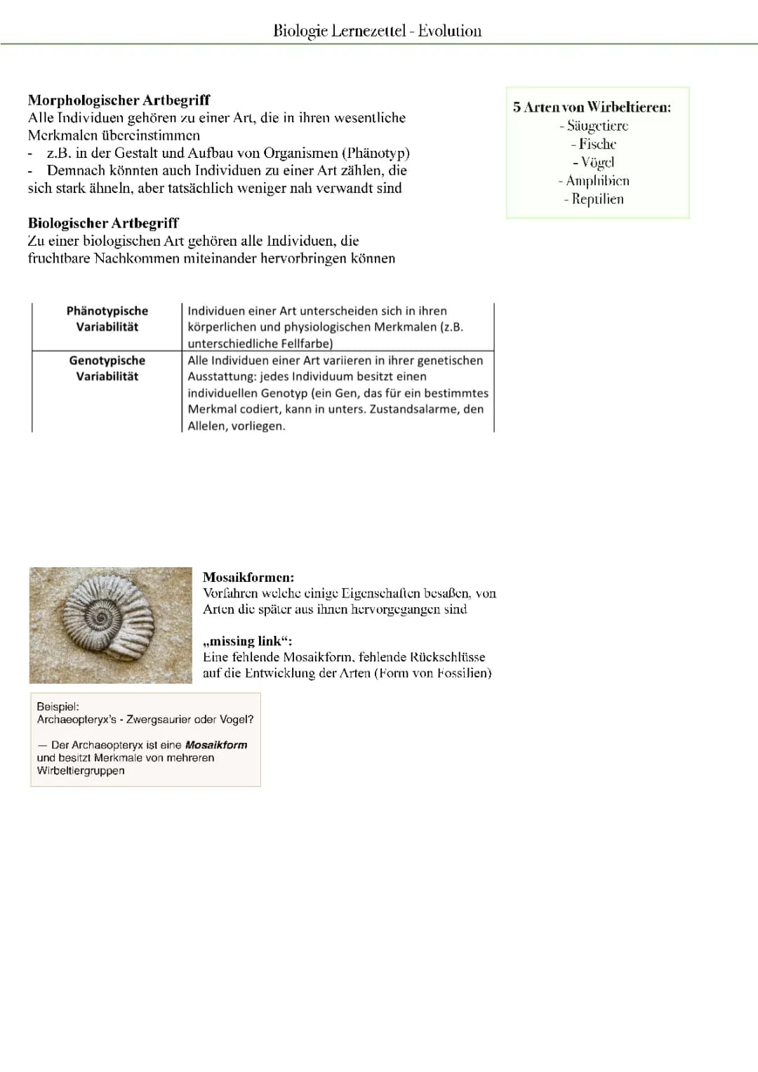 Biologie Lernzettel - Evolution 