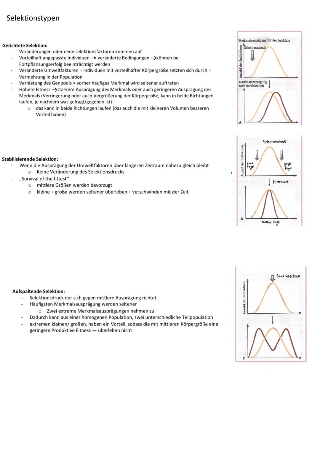 Morphologischer Artbegriff
Alle Individuen gehören zu einer Art, die in ihren wesentliche
Merkmalen übereinstimmen
z.B. in der Gestalt und A