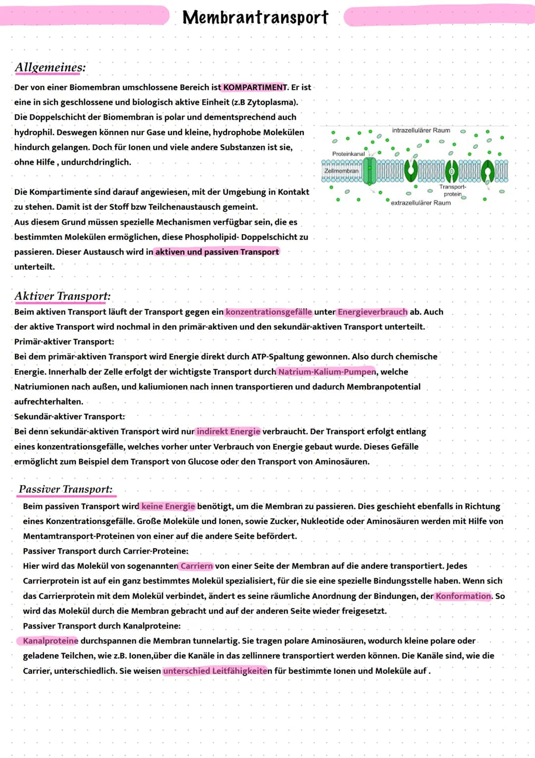 Membrantransport
Allgemeines:
Der von einer Biomembran umschlossene Bereich ist KOMPARTIMENT. Er ist
eine in sich geschlossene und biologisc