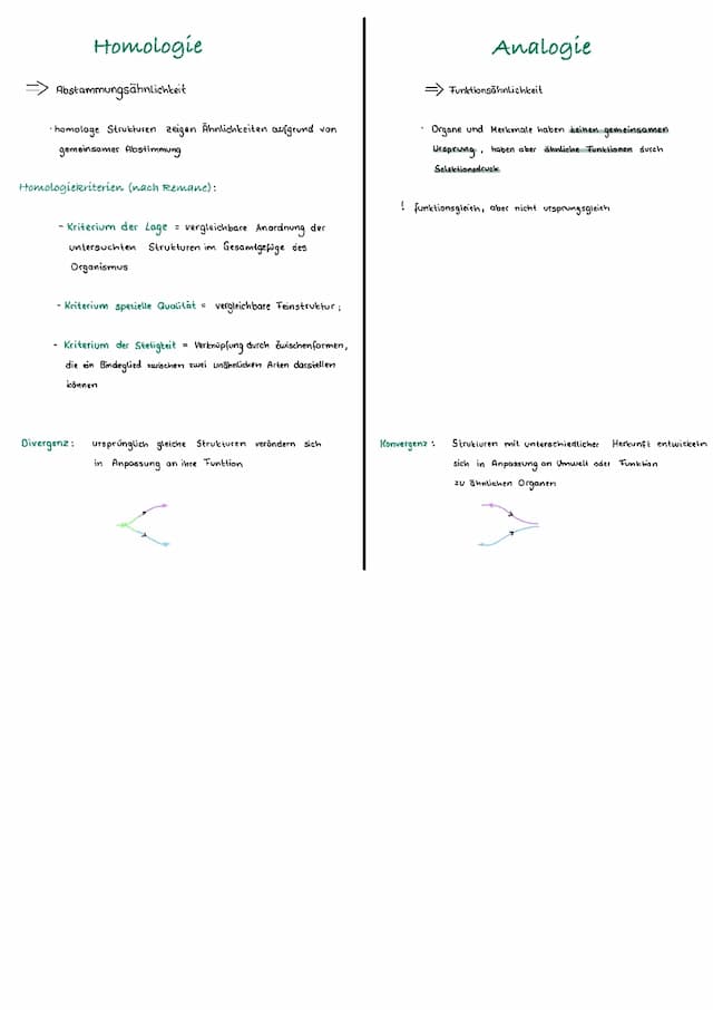 Know Homologie & Analogie  thumbnail