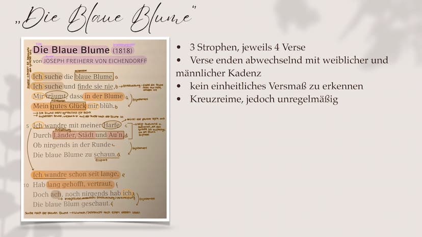 Sa
im
dem Aufbau der Sparkassen- und Giro-Organisatie
en Reich gewidmet hat. Präsident Dr. Kleiner
Brandenburgischen Sparkassen-
Sparkassena