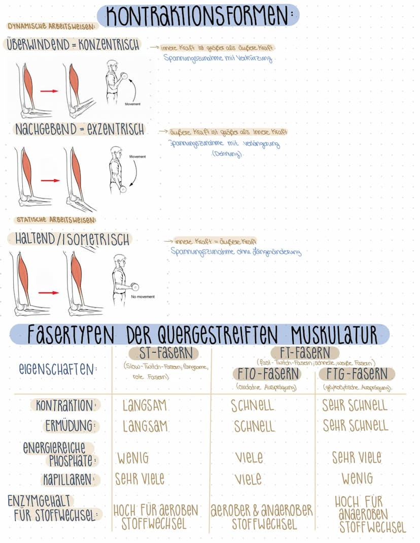 TRAININGSLEURe
GRUNDLAGEN SPORTLICHEN TRAININGS
BEGRIFFSBESTIMMUNGEN KONDITION & KOORDINATION
KOORDINATIVE FAHIGKEITEN
KONDITIONELLE FAHIGKE