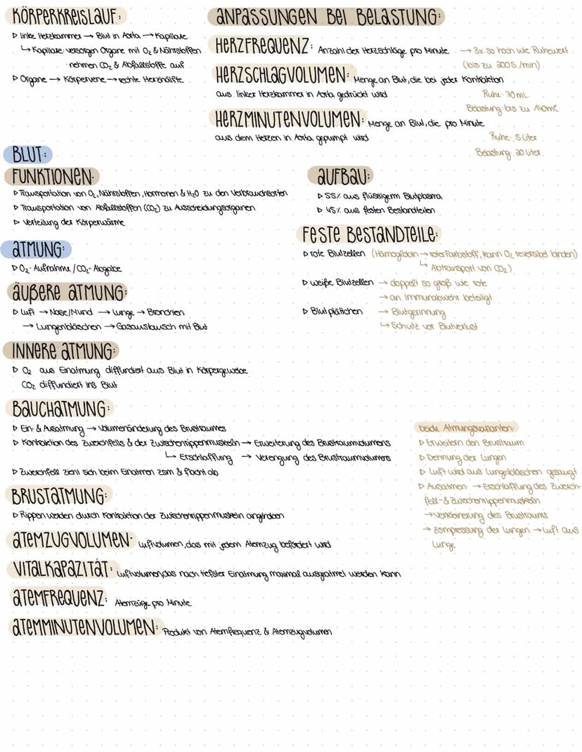 TRAININGSLEURe
GRUNDLAGEN SPORTLICHEN TRAININGS
BEGRIFFSBESTIMMUNGEN KONDITION & KOORDINATION
KOORDINATIVE FAHIGKEITEN
KONDITIONELLE FAHIGKE