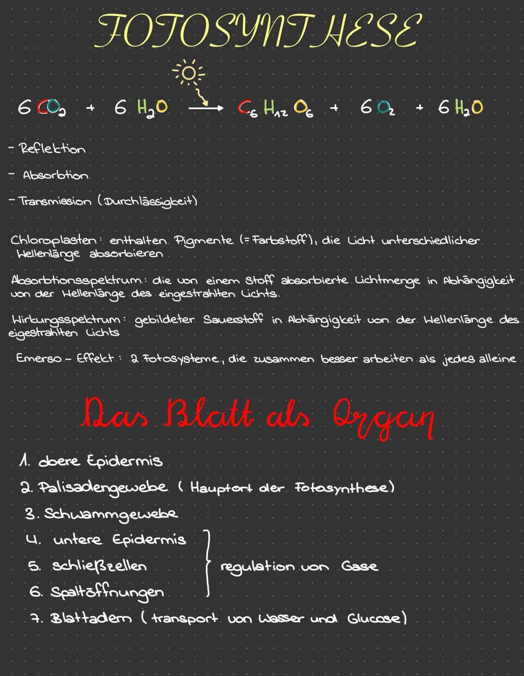 Zellatmung
Kohlenstoff + Hasser
dioxid
7
Sauerstoff + Glucose
a
OKOLOGIE
b i
Minimum
(Tod)
Reaktion der Lebewesen
(z.B. Aktivität der Indivi