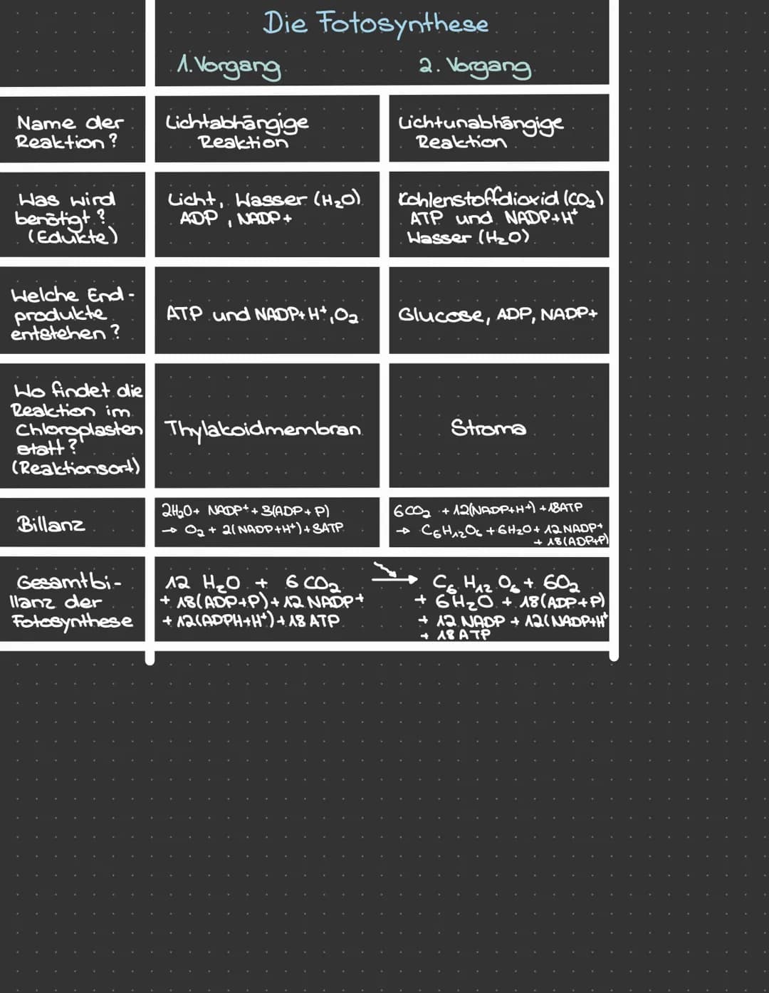 Zellatmung
Kohlenstoff + Hasser
dioxid
7
Sauerstoff + Glucose
a
OKOLOGIE
b i
Minimum
(Tod)
Reaktion der Lebewesen
(z.B. Aktivität der Indivi