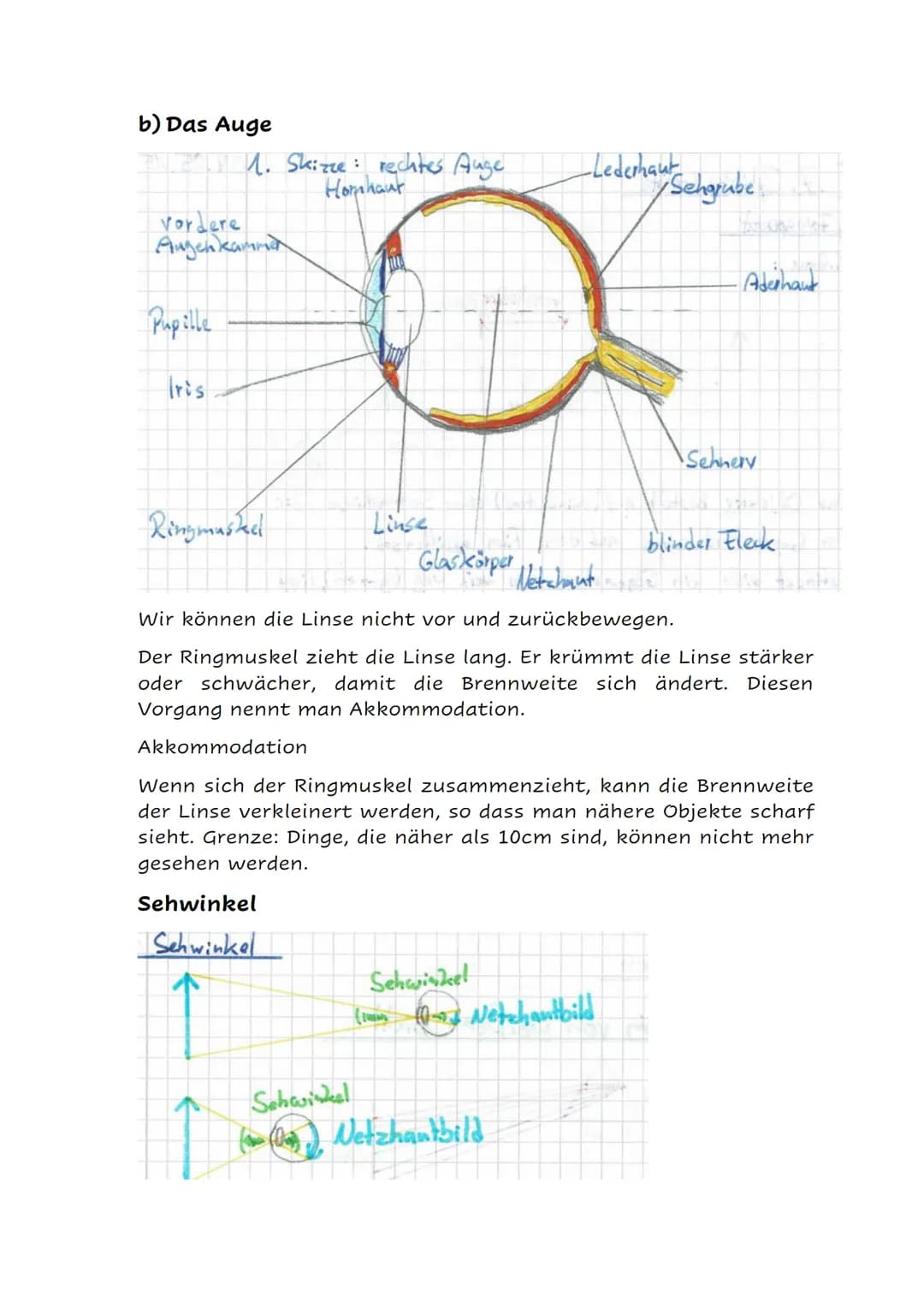 Physik Teil 13
II Optik (9)
Optische Geräte
a) Fotoapparat
Licht
Blendenöffnung
Objektiv
Blendel Verschluss
Linse CCD
Kamera
Das Objektiv be