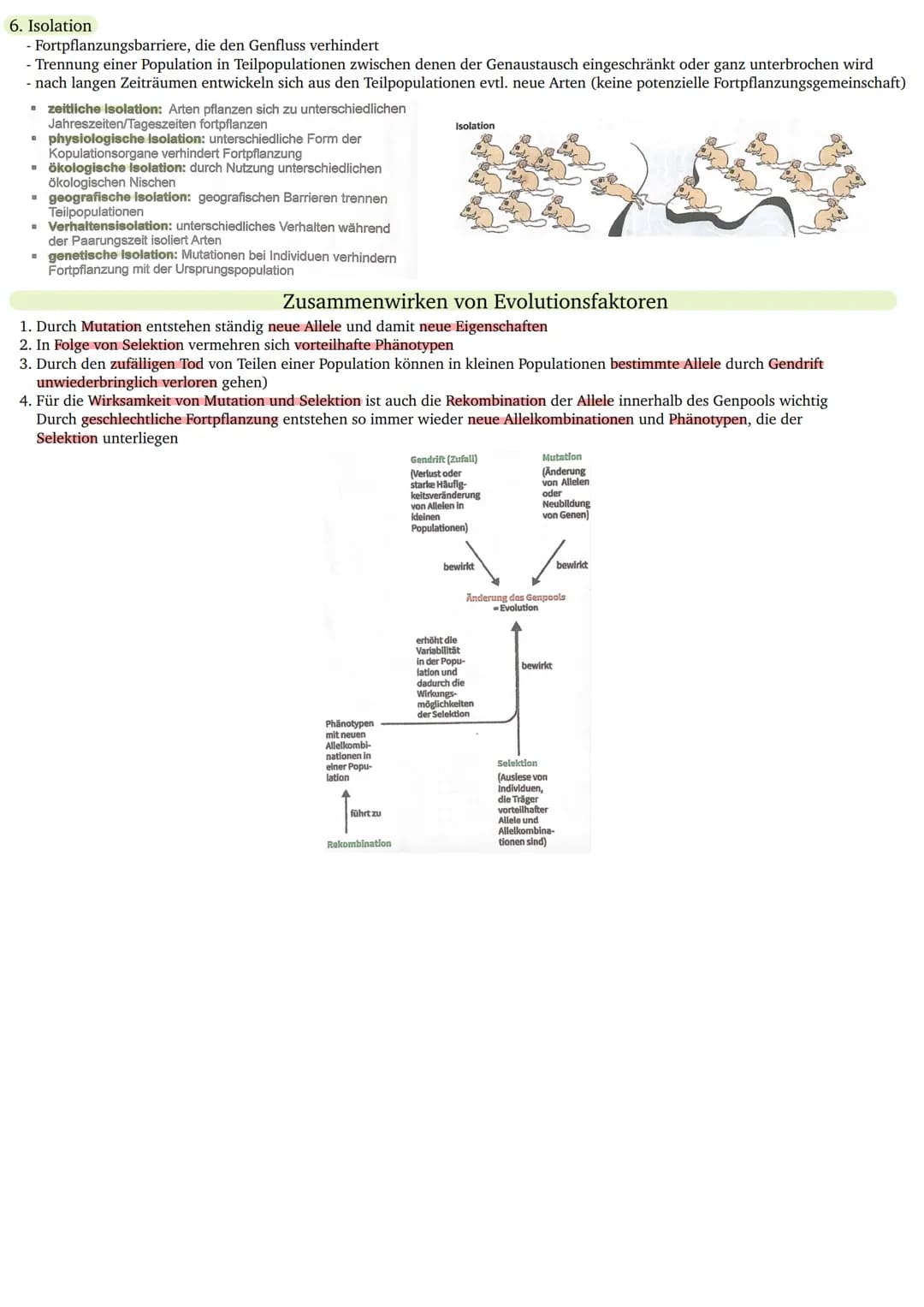 Giraffen
J. B. LAMARCK
(1744-1829)
Deszendenztheorie
(Abstammungstheorie)
Homogene Ausgangs-
population
gleich
laurzer Hals
Bedürfnis nach A